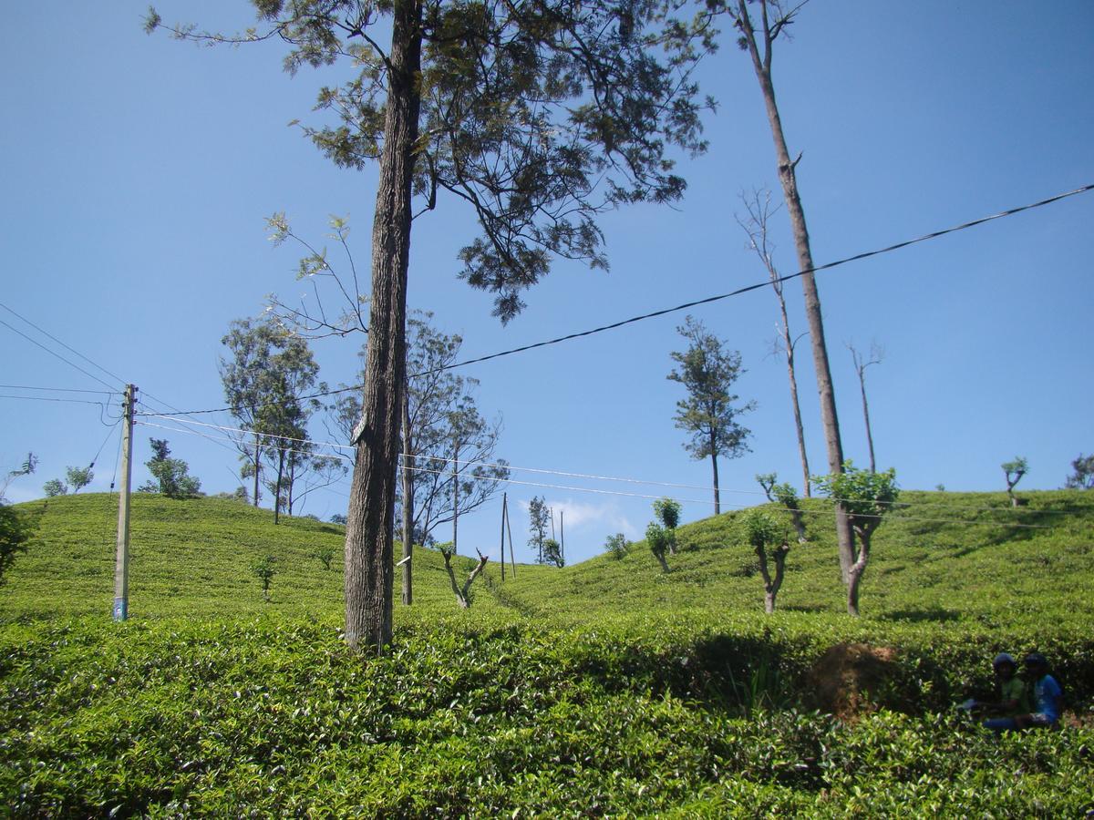 Appartamento Ella Tea Land View Esterno foto