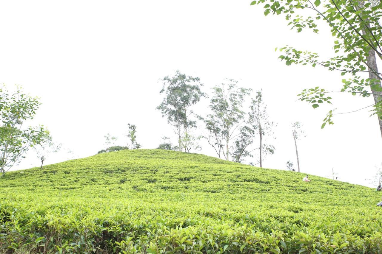 Appartamento Ella Tea Land View Esterno foto