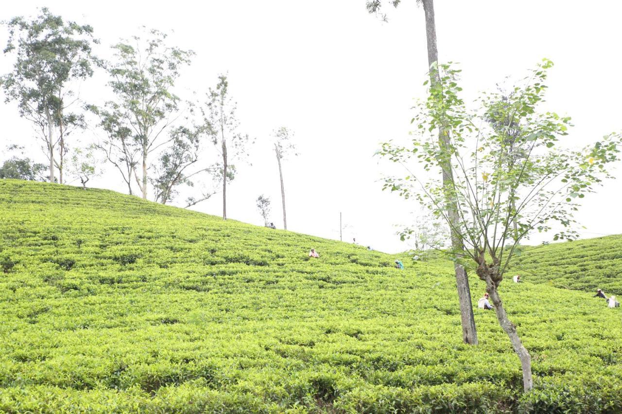 Appartamento Ella Tea Land View Esterno foto